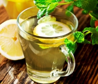 Online - Fasten - Detoxkurs