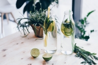 Online - Fasten - Detoxkurs /24